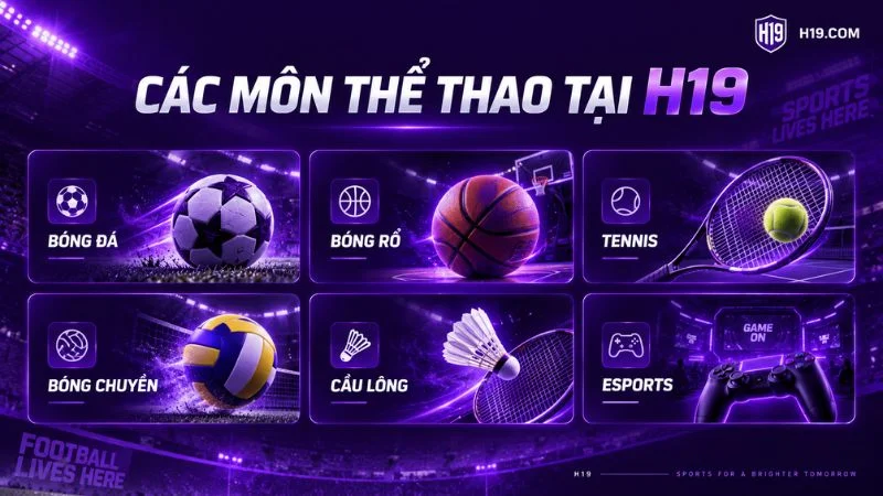 Các môn thể thao nổi bật tại H19 gồm bóng đá bóng rổ tennis và Esports